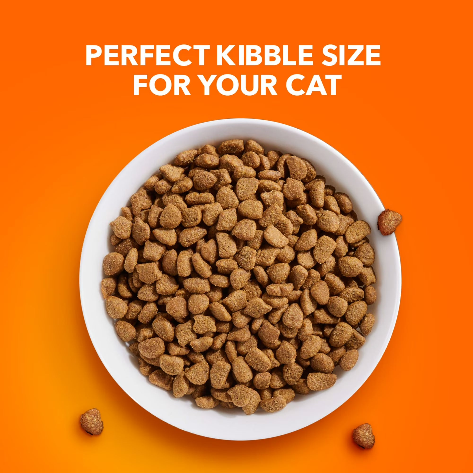 Iams Proactive Health Chicken And Turkey Dry Cat Food,