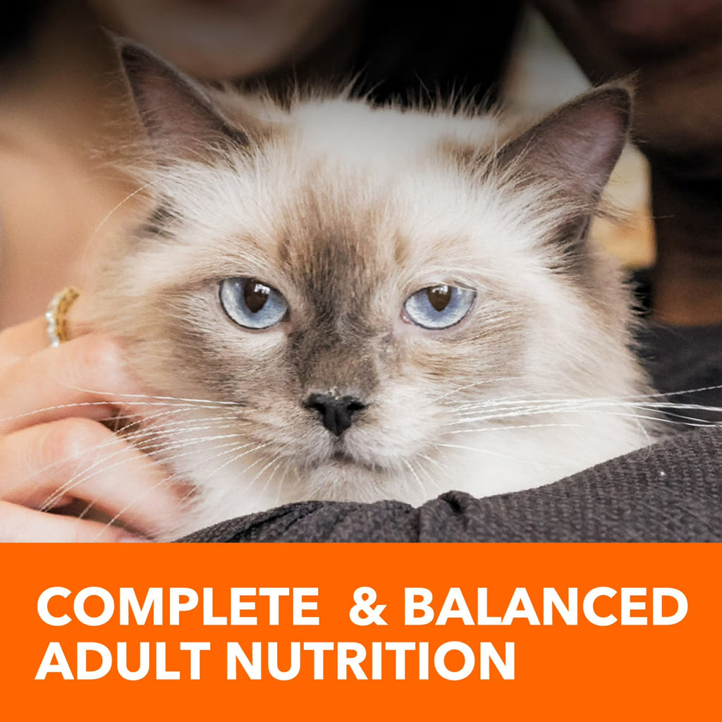 Iams Proactive Health Chicken And Turkey Dry Cat Food,